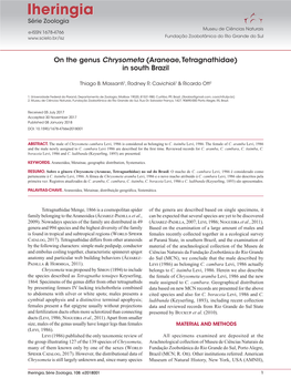 On the Genus Chrysometa (Araneae, Tetragnathidae) in South Brazil