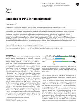 The Roles of PIKE in Tumorigenesis