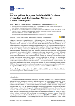 Dependent and -Independent Netosis in Human Neutrophils