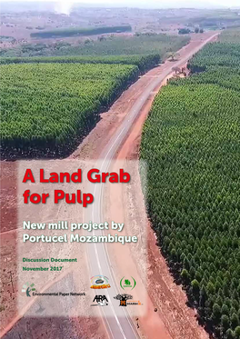 A Land Grab for Pulp: New Mill Project by Portucel Mozambique