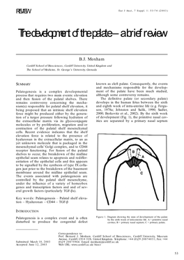 The Development of the Palate – a Brief Review