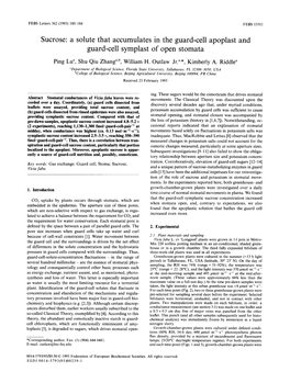 Sucrose: a Solute That Accumulates in the Guard-Cell Apoplast and Guard-Cell Symplast of Open Stomata