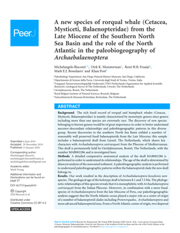 (Cetacea, Mysticeti, Balaenopteridae) from the Late Miocene of The