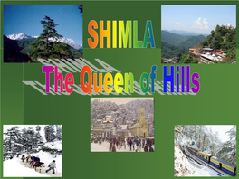 Shimla Is Connected to Kalka by an Enhancing Narrow Gauge Railway Line -Where Even a Rail-Car Plys