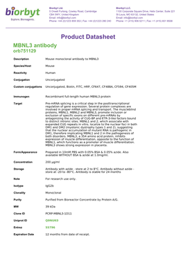 Product Datasheet MBNL3 Antibody Orb751129