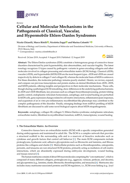 Cellular and Molecular Mechanisms in the Pathogenesis of Classical, Vascular, and Hypermobile Ehlers-Danlos Syndromes