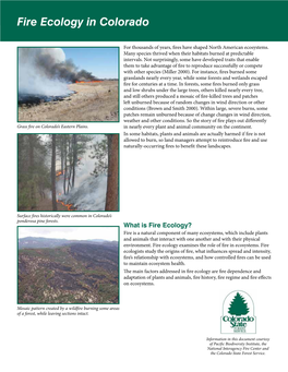 Fire Ecology in Colorado