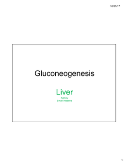 Gluconeogenesis Liver