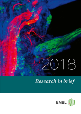 Research in Brief About EMBL Contents