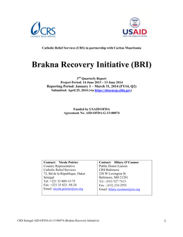 Brakna Recovery Initiative (BRI)
