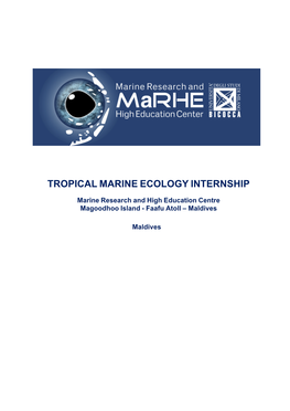 Tropical Marine Ecology Internship