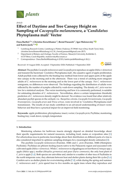 Effect of Daytime and Tree Canopy Height on Sampling of Cacopsylla