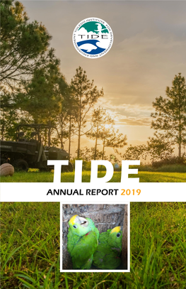 Annual Report 2019 Letter from the Director