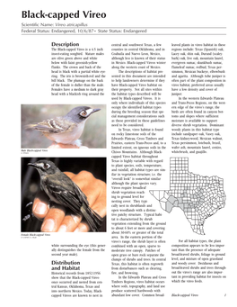 Black-Capped Vireo Scientific Name: Vireo Atricapillus Federal Status: Endangered, 10/6/87• State Status: Endangered