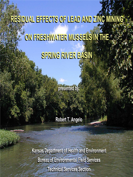 Residual Effects of Lead and Zinc Mining on Freshwater Mussels in the Spring River Basin