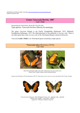 385 Genus Vanessula Dewitz