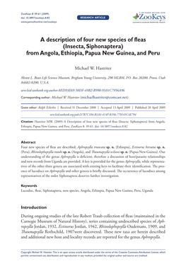 A Description of Four New Species of Fleas (Insecta, Siphonaptera) from Angola, Ethiopia, Papua New Guinea, and Peru