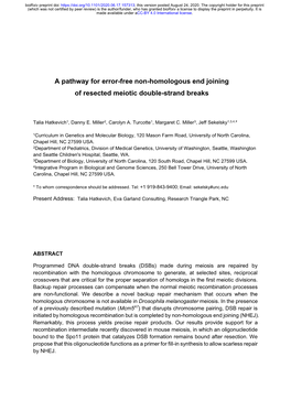 A Pathway for Error-Free Non-Homologous End Joining of Resected Meiotic Double-Strand Breaks