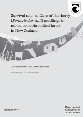 Berberis Darwinii) Seedlings in Mixed Beech-Broadleaf Forest in New Zealand