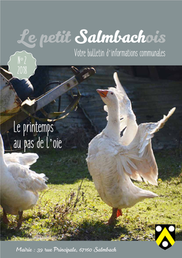 Le Petit Salmbachois