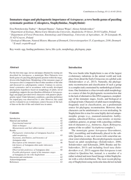 Immature Stages and Phylogenetic Importance of Astrapaeus, a Rove Beetle Genus of Puzzling Systematic Position (Coleoptera, Staphylinidae, Staphylinini)