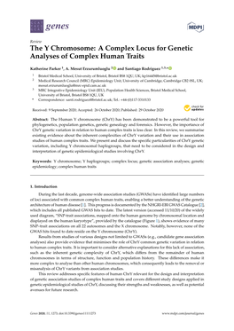 The Y Chromosome: a Complex Locus for Genetic Analyses of Complex Human Traits