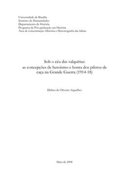 Sob O Céu Das Valquírias: As Concepções De Heroísmo E Honra Dos Pilotos De Caça Na Grande Guerra (1914-18)