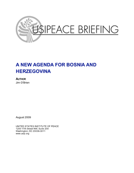 A New Agenda for Bosnia and Herzegovina