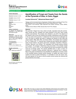 Identification of Fungi and Yeasts from the Sands of the Pyramids of Giza