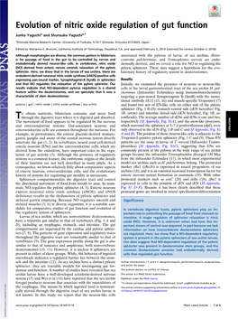 Evolution of Nitric Oxide Regulation of Gut Function