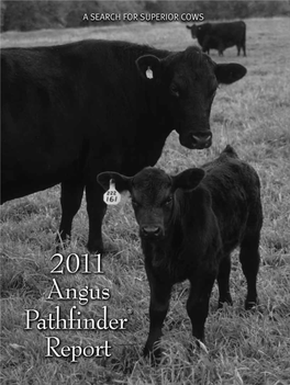 2011Pathfinder.Pdf