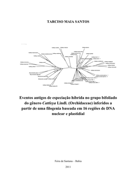 Eventos Antigos De Especiação Híbrida No Grupo Bifoliado Do Gênero Cattleya Lindl