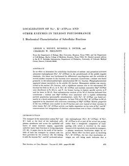 LOCALIZATION of Na+, K+-ATPASE and OTHER ENZYMES in TELEOST PSEUDOBRANCH