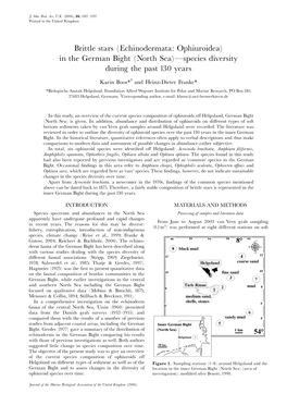 Brittle Stars (Echinodermata: Ophiuroidea) in the German Bight (North Sea)�Species Diversity During the Past 130 Years