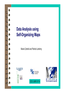 Data Analysis Using Self-Organizing Maps