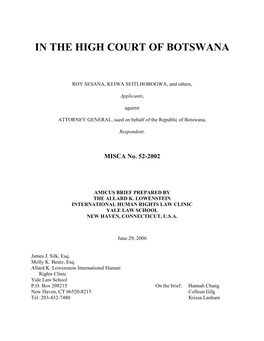 Amicus Brief, in the High Court of Botswana