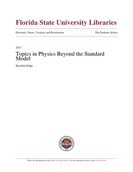 Topics in Physics Beyond the Standard Model