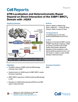 ATM Localization and Heterochromatin Repair Depend on Direct Interaction of the 53BP1-BRCT2 Domain with ΓH2AX