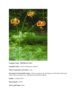 MICHIGAN LILY Scientific Name: Lilium Michiganense Farwell Other
