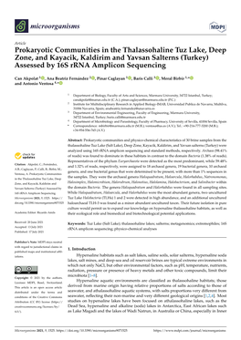 Prokaryotic Communities in the Thalassohaline Tuz Lake, Deep Zone, and Kayacik, Kaldirim and Yavsan Salterns (Turkey) Assessed by 16S Rrna Amplicon Sequencing