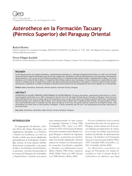 Asterotheca En La Formación Tacuary (Pérmico Superior) Del Paraguay Oriental