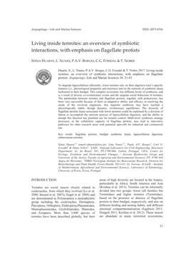 Living Inside Termites-An Overview of Symbiotic Interactions, with Emphasis on Flagellate Protists