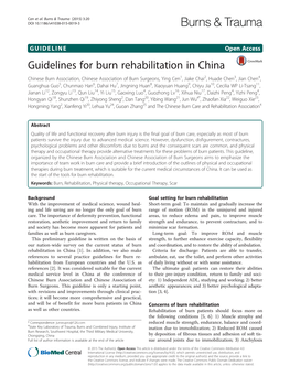 Guidelines for Burn Rehabilitation in China