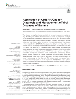 Application of CRISPR/Cas for Diagnosis and Management of Viral Diseases of Banana