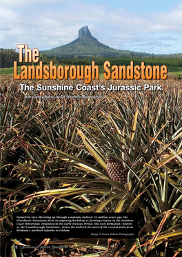 The Landsborough Sandstone—Forms the Bedrock for Most of the Coastal Plain from Brisbane’S Northern Suburbs to Coolum