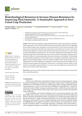 Biotechnological Resources to Increase Disease-Resistance by Improving Plant Immunity: a Sustainable Approach to Save Cereal Crop Production