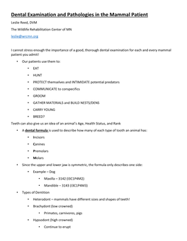 Dental Examination and Pathologies in the Mammal Patient Leslie Reed, DVM the Wildlife Rehabilitation Center of MN Leslie@Wrcmn.Org