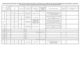 Initial Information on the Capacity Restrictions of the Railway Lines For