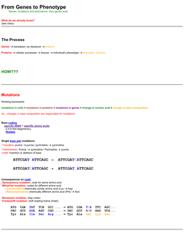 Proteins to Phenotype