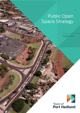 Public Open Space Strategy